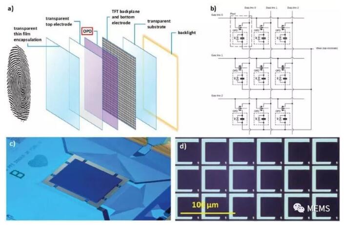 荷蘭科學(xué)家研發(fā)新型柔性高分辨率指紋識別傳感技術(shù) 荷蘭科學(xué)家研發(fā)新型柔性高分辨率指紋識別傳感技術(shù)